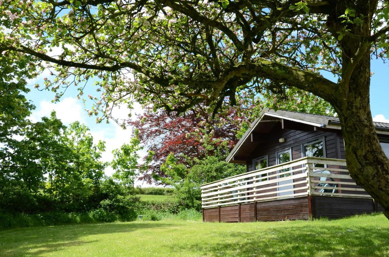 Avallon Lodges Launceston Exterior foto