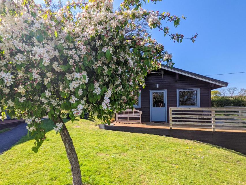 Avallon Lodges Launceston Exterior foto